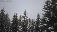 Archived image Webcam Rosswald - Bärgfriedu 07:00
