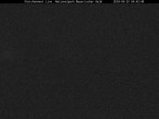 Archived image Webcam Bavarian Forest National Park - Stork Nest 03:00