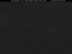 Archived image Webcam Bavarian Forest National Park - Stork Nest 03:00