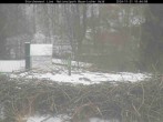 Archiv Foto Webcam Nationalpark Bayerischer Wald - Storchennest - Grafenau 09:00