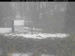 Archiv Foto Webcam Nationalpark Bayerischer Wald - Storchennest - Grafenau 11:00