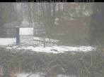 Archiv Foto Webcam Nationalpark Bayerischer Wald - Storchennest - Grafenau 13:00