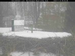 Archiv Foto Webcam Nationalpark Bayerischer Wald - Storchennest - Grafenau 07:00