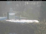 Archiv Foto Webcam Nationalpark Bayerischer Wald - Storchennest - Grafenau 09:00