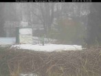 Archived image Webcam Bavarian Forest National Park - Stork Nest 15:00