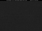 Archived image Webcam Bavarian Forest National Park - Stork Nest 03:00