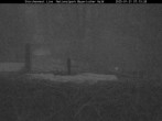 Archived image Webcam Bavarian Forest National Park - Stork Nest 06:00