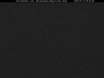 Archived image Webcam Bavarian Forest National Park - Stork Nest 03:00