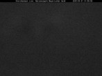 Archiv Foto Webcam Nationalpark Bayerischer Wald - Storchennest - Grafenau 21:00