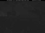 Archiv Foto Webcam Nationalpark Bayerischer Wald - Storchennest - Grafenau 21:00