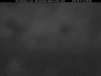 Archiv Foto Webcam Nationalpark Bayerischer Wald - Storchennest - Grafenau 21:00