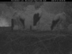 Archiv Foto Webcam Nationalpark Bayerischer Wald - Storchennest - Grafenau 03:00