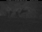 Archiv Foto Webcam Nationalpark Bayerischer Wald - Storchennest - Grafenau 03:00