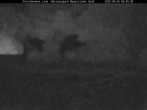 Archiv Foto Webcam Nationalpark Bayerischer Wald - Storchennest - Grafenau 03:00