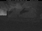 Archiv Foto Webcam Nationalpark Bayerischer Wald - Storchennest - Grafenau 03:00