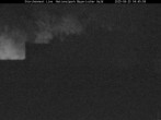Archiv Foto Webcam Nationalpark Bayerischer Wald - Storchennest - Grafenau 03:00
