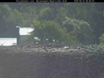 Archiv Foto Webcam Nationalpark Bayerischer Wald - Storchennest - Grafenau 07:00