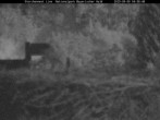Archiv Foto Webcam Nationalpark Bayerischer Wald - Storchennest - Grafenau 01:00
