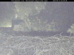 Archiv Foto Webcam Nationalpark Bayerischer Wald - Storchennest - Grafenau 19:00