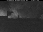 Archiv Foto Webcam Nationalpark Bayerischer Wald - Storchennest - Grafenau 21:00