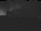 Archived image Webcam Bavarian Forest National Park - Stork Nest 03:00