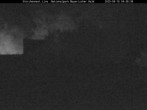 Archiv Foto Webcam Nationalpark Bayerischer Wald - Storchennest - Grafenau 03:00