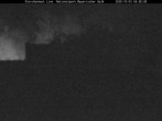 Archiv Foto Webcam Nationalpark Bayerischer Wald - Storchennest - Grafenau 03:00