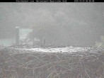 Archiv Foto Webcam Nationalpark Bayerischer Wald - Storchennest - Grafenau 05:00