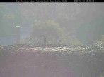 Archiv Foto Webcam Nationalpark Bayerischer Wald - Storchennest - Grafenau 07:00