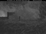 Archiv Foto Webcam Nationalpark Bayerischer Wald - Storchennest - Grafenau 03:00