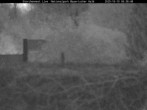 Archiv Foto Webcam Nationalpark Bayerischer Wald - Storchennest - Grafenau 05:00