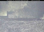 Archiv Foto Webcam Nationalpark Bayerischer Wald - Storchennest - Grafenau 19:00