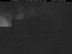 Archived image Webcam Bavarian Forest National Park - Stork Nest 03:00