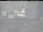 Archiv Foto Webcam Nationalpark Bayerischer Wald - Storchennest - Grafenau 17:00