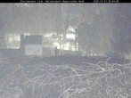 Archiv Foto Webcam Nationalpark Bayerischer Wald - Storchennest - Grafenau 19:00