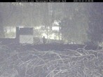 Archiv Foto Webcam Nationalpark Bayerischer Wald - Storchennest - Grafenau 21:00