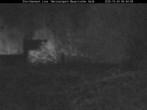Archiv Foto Webcam Nationalpark Bayerischer Wald - Storchennest - Grafenau 05:00