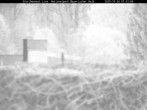 Archiv Foto Webcam Nationalpark Bayerischer Wald - Storchennest - Grafenau 06:00