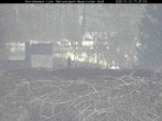 Archiv Foto Webcam Nationalpark Bayerischer Wald - Storchennest - Grafenau 16:00