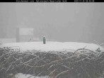 Archiv Foto Webcam Nationalpark Bayerischer Wald - Storchennest - Grafenau 07:00