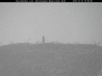 Archiv Foto Webcam Nationalpark Bayerischer Wald - Storchennest - Grafenau 15:00