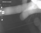 Archiv Foto Webcam Körbecke: Seetreppe Möhnesee 01:00