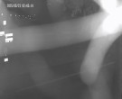 Archiv Foto Webcam Körbecke: Seetreppe Möhnesee 01:00