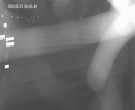 Archiv Foto Webcam Körbecke: Seetreppe Möhnesee 03:00