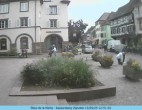 Archiv Foto Webcam Kaysersberg 11:00