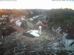 Archived image Webcam Stork&#39;s Nest Bad Waldsee 05:00