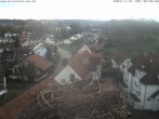 Archiv Foto Webcam Storchennest Bad Waldsee 07:00