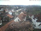 Archiv Foto Webcam Storchennest Bad Waldsee 09:00