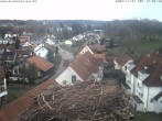 Archiv Foto Webcam Storchennest Bad Waldsee 13:00