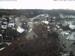 Archiv Foto Webcam Storchennest Bad Waldsee 09:00